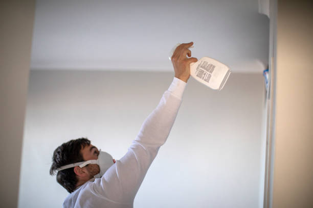 Best Emergency Mold Removal  in Avoca, PA