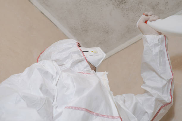 Best Mold Testing  in Avoca, PA